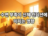 수면 부족이 신체 컨디션에 미치는 영향