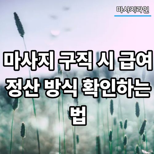 마사지 구직 시 급여 정산 방식 확인하는 법